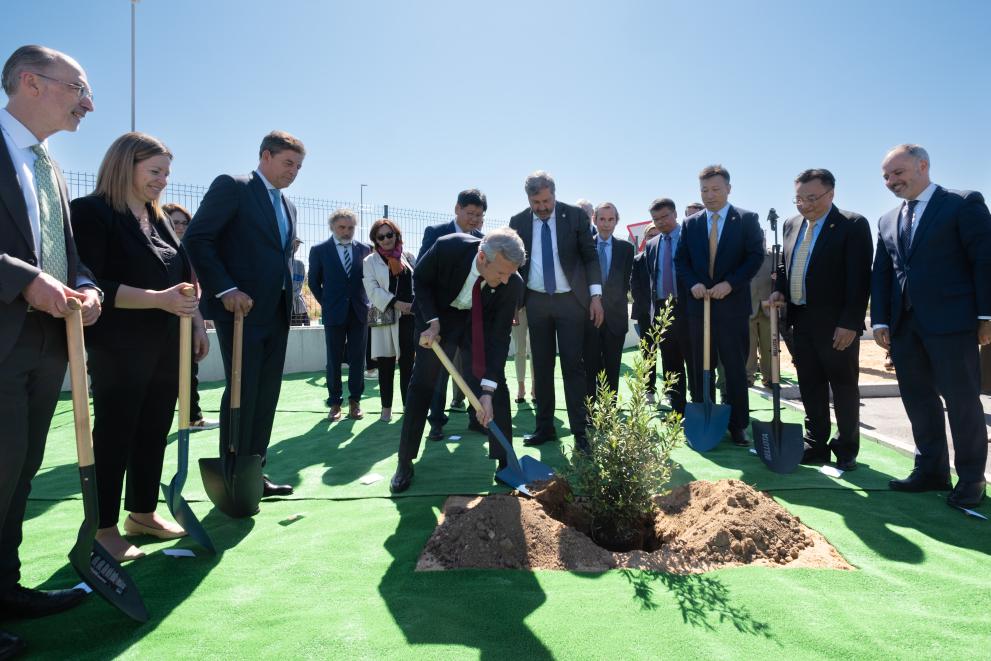 Imaxe 4 de 6 asociada á nova