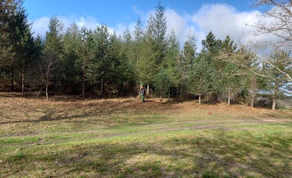 Imaxe da nova:A Xunta executou traballos preventivos en montes do distrito forestal XII Miño-Arnoia