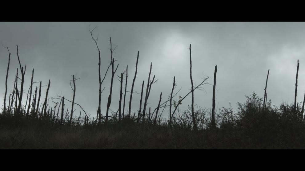 Imaxe 2 de 3 asociada á nova