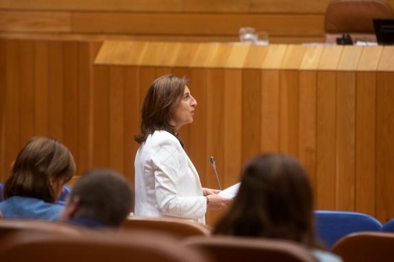 Imagen de la noticia:La Xunta convocará este año 24 programas y ayudas en materia de vivienda con un presupuesto de más de 140 M€