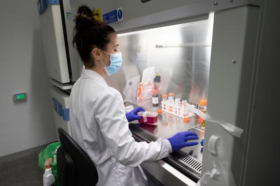 Imagen de la noticia:La Xunta inyecta más de 2,4 M€ para que los investigadores posdoctorales afiancen su trayectoria científica