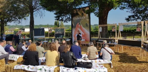 Imaxe da nova:La Xunta creará un campo de ensayo con distintos tipos de olivos en Galicia y fomentará su caracterización agronómica y estudios co...