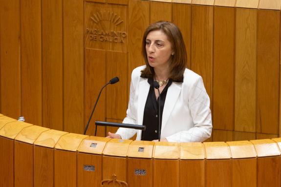 Imaxe da nova:A Xunta reclamará unha mesa de diálogo co Goberno central para resolver as dúbidas competenciais da nova Lei polo dereito á vivenda