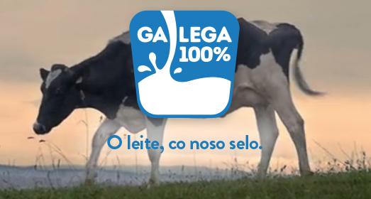 Galega 100%