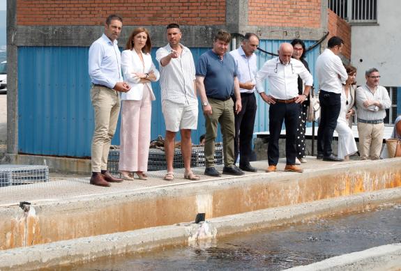 Imaxe da nova:A Xunta advirte de que as trabas do Estado a renovar a concesión da empresa A Ostreira fan perigar a subministración de semente ao ...