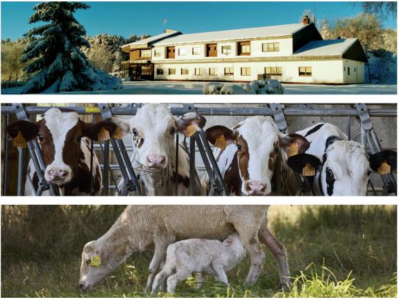 Axencia Galega da Calidade Alimentaria (Agacal)