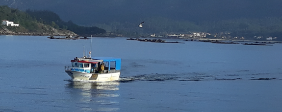Fondo Europeo Marítimo de Pesca e Acuicultura