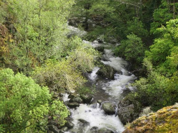 Fondo documental do monte galego