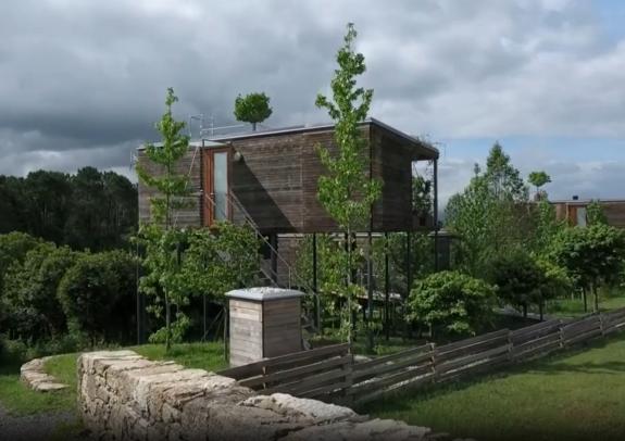 Lignum Facile Responde