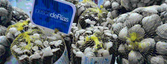 Pesca de rías. De onde se non?