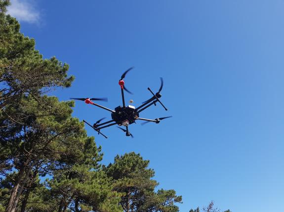 Primare - Inspeccións intelixentes avanzadas