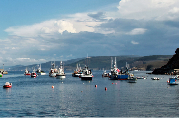 Redemar - Rede entre o sector pesqueiro e organismos científicos de Galicia