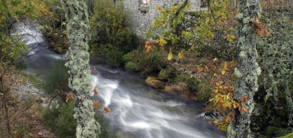Reserva da Biosfera Gerês - Xurés