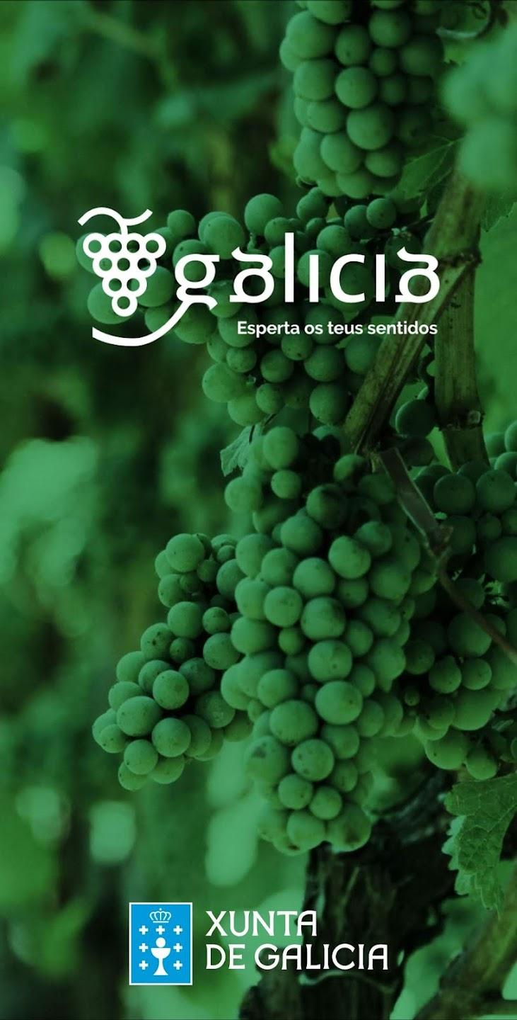 Imaxe asociada a Enoturismo en Galicia: 1