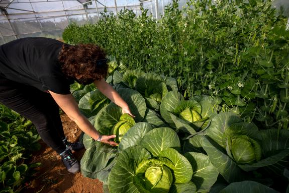 Imaxe da nova:A Xunta pon en valor o papel das mulleres rurais na economía galega e na dinamización do territorio