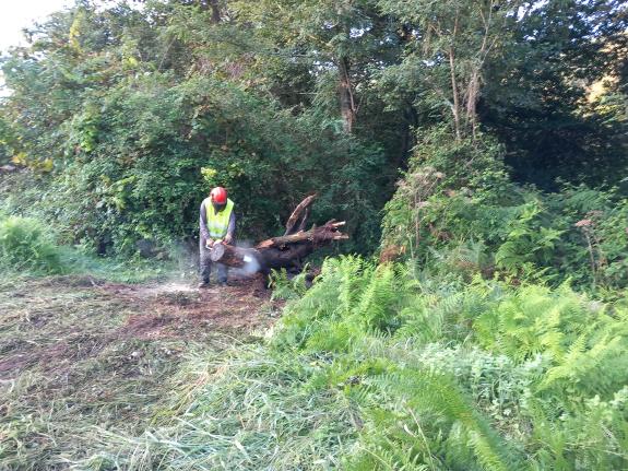 Imaxe da nova:A Xunta executa actuacións de limpeza nos treitos interurbanos de tres ríos no concello de Valga