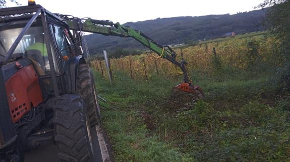 Imaxe da nova:A Xunta inicia a execución de actuacións de conservación e limpeza nos treitos interurbanos de catro regos no concello de Lourenzá