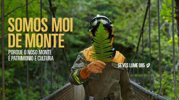 Imaxe da nova:Hoxe remata a tempada de alto risco de incendios forestais pero mantense a prohibición de realizar queimas agrícolas e forestais at...