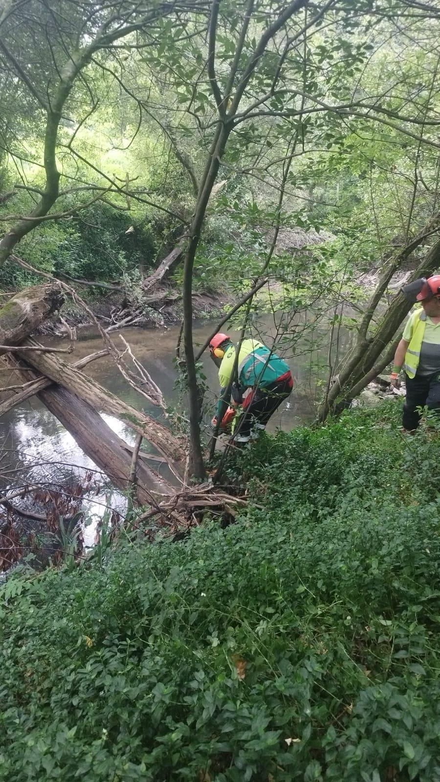 Imagen 1 de 1 asociada a la noticia