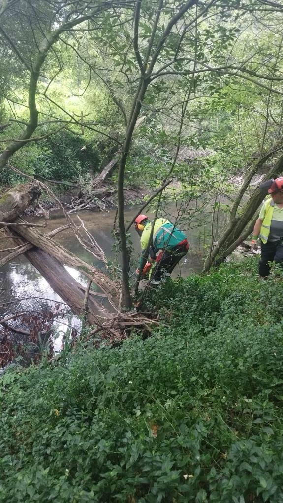 Imaxe da nova:A Xunta executa actuacións de conservación e limpeza nos treitos interurbanos de varios ríos nos concellos de Padrón e de Rois