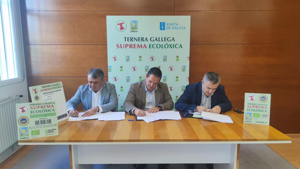 Imagen 2 de 2 asociada a la noticia