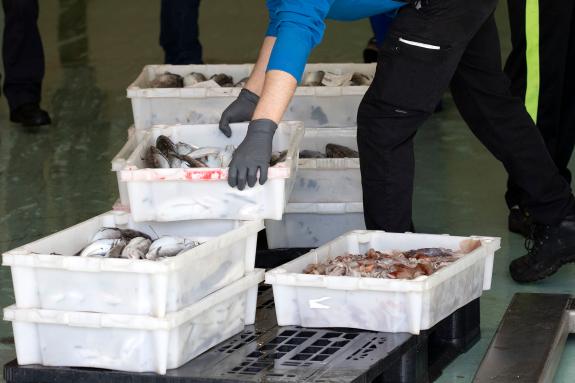 Imagen de la noticia:El Plan de equipaciones en los puertos pesqueros de Galicia 2030 invertirá 34,7 millones de euros en la mejora de los muelle...