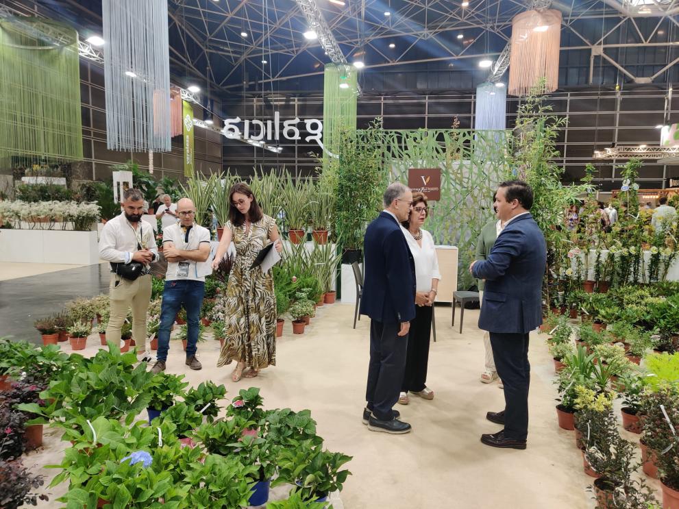 Imaxe 3 de 3 asociada á nova