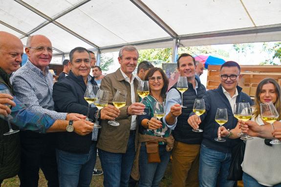Imaxe da nova:Rueda felicita ás máis de 400 adegas galegas por acadar a vendima “máis abondosa” da última década