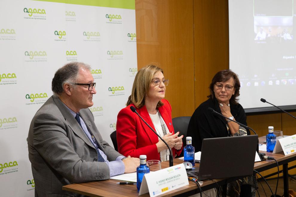 Imagen 3 de 3 asociada a la noticia