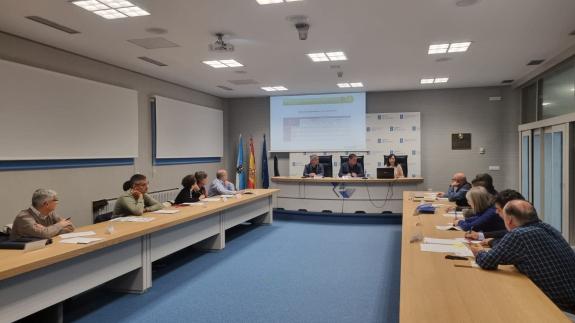 Imagen de la noticia:La Xunta potencia la gestión activa del sector de la castaña para reforzar su apoyo a este ámbito productivo