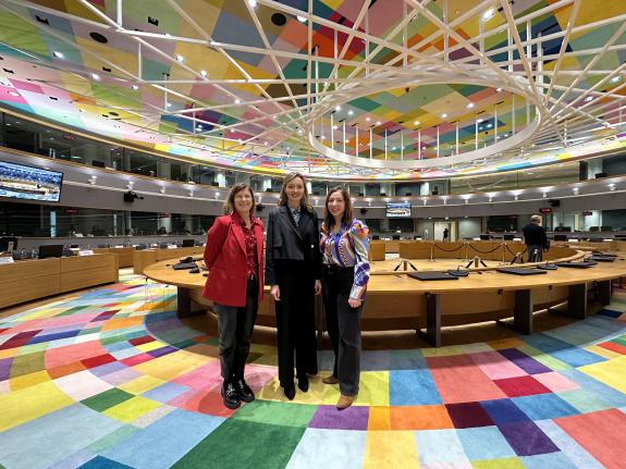 Imagen de la noticia:La Xunta defiende ante la Unión Europea las propuestas acordadas con las comunidades autónomas en materia de participación d...