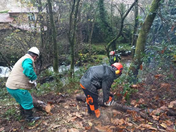 Imaxe da nova:A Xunta executa actuacións de conservación e limpeza nos treitos interurbanos do río Catasol, no concello de Melide