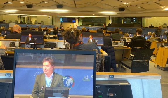 Imaxe da nova:Galicia reivindica o papel das rexións na estratexia europea de cooperación internacional