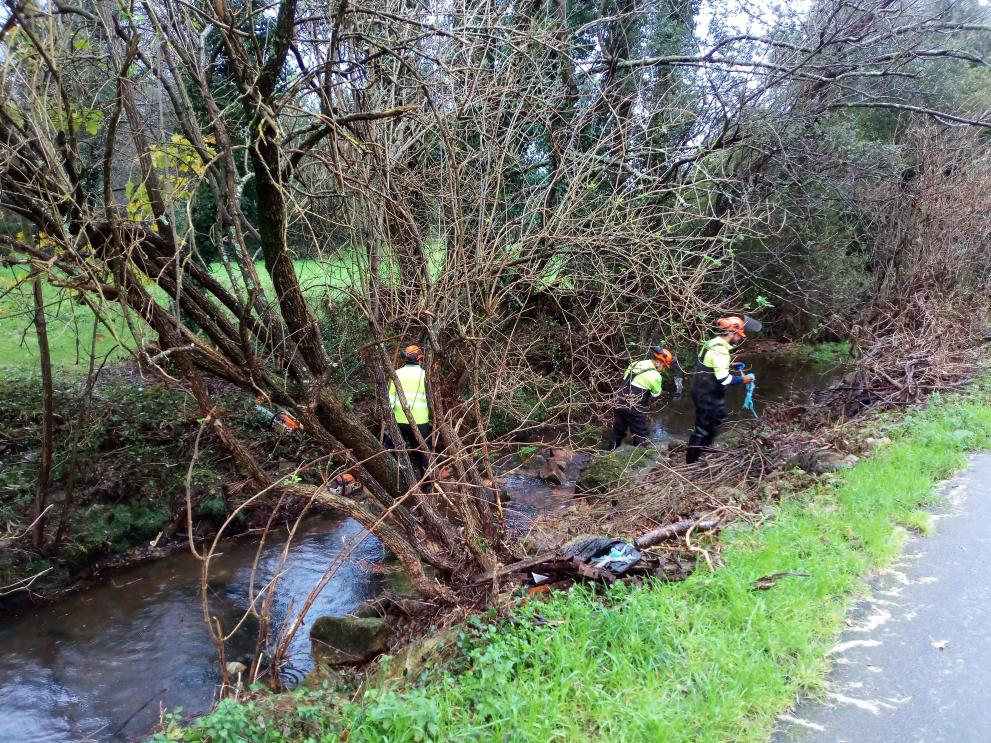Imagen 1 de 1 asociada a la noticia