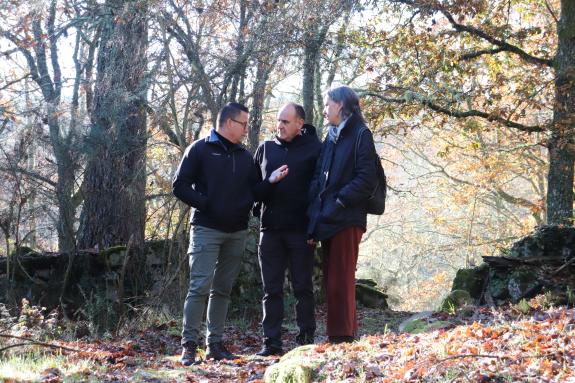 Imaxe da nova:A Xunta fomenta a recuperación e conservación dos soutos tradicionais xunto á mellora da súa xestión mediante as agrupacións forest...