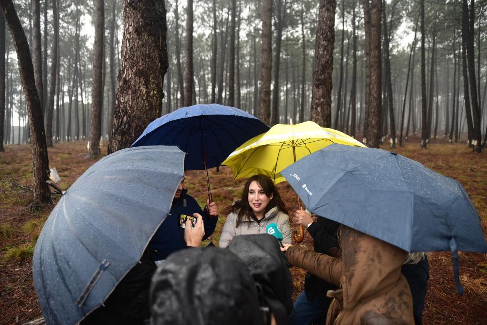 Imaxe 1 de 3 asociada á nova