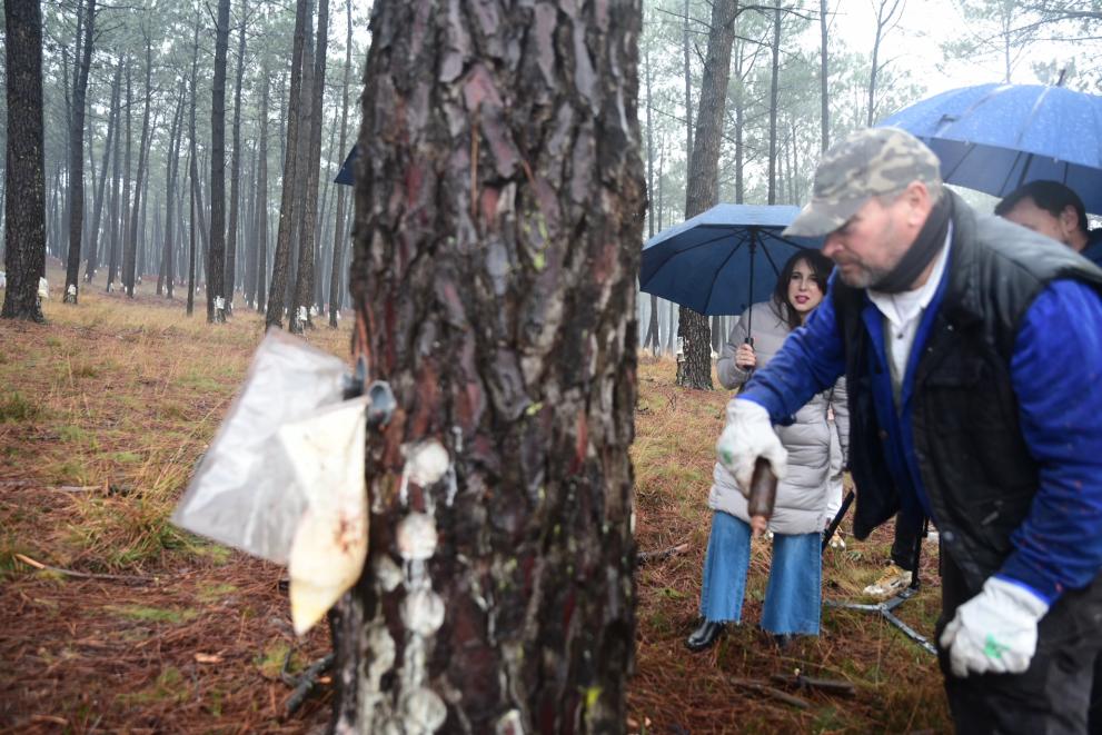Imaxe 3 de 3 asociada á nova