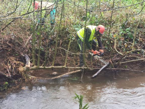 Imagen de la noticia:La Xunta inicia la ejecución de actuaciones de conservación y limpieza en los trechos interurbanos del río Sar y del río Sar...