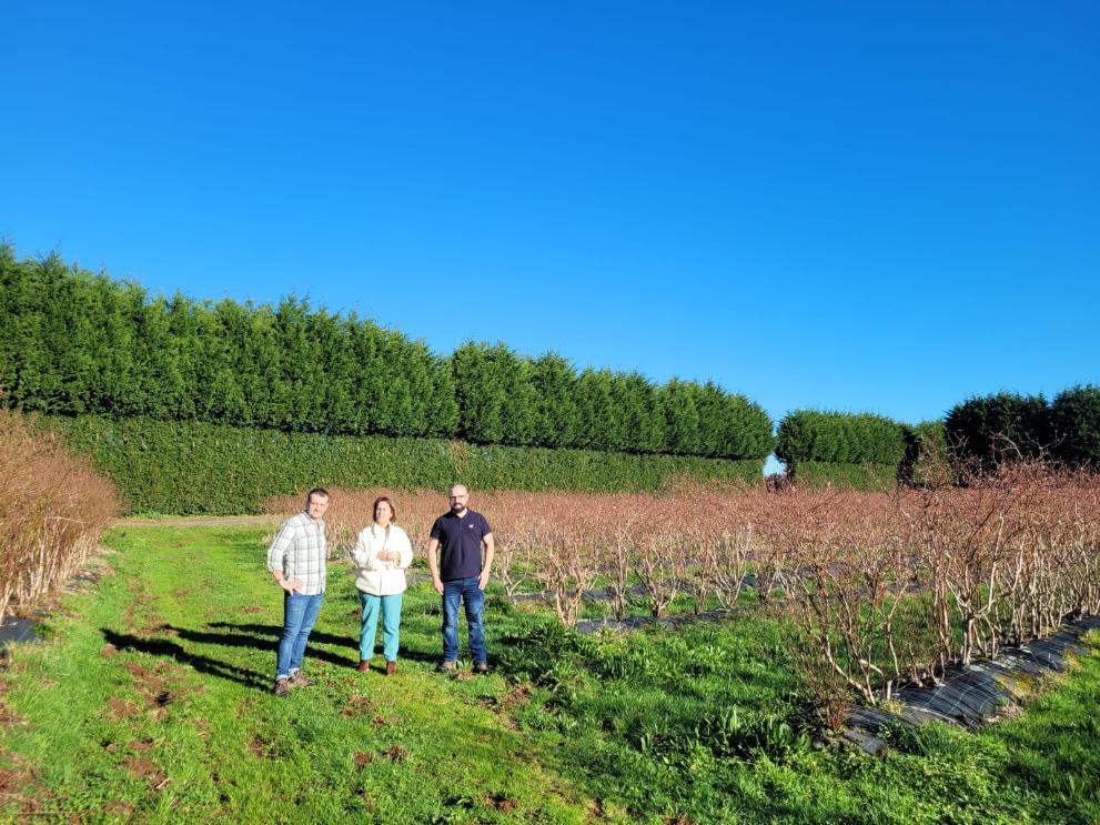 Imagen 1 de 3 asociada a la noticia