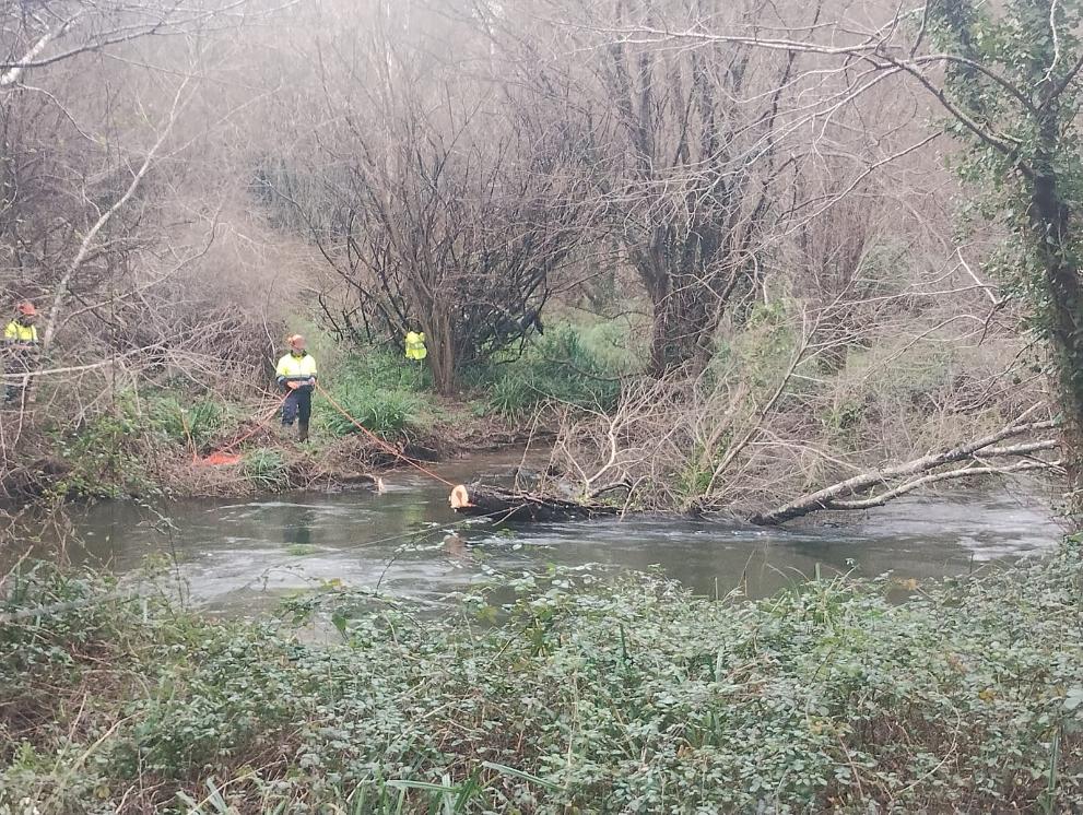 Imaxe 2 de 2 asociada á nova