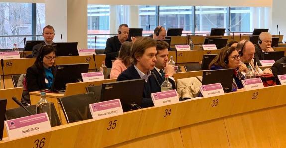 Imaxe da nova:Galicia reivindica no Comité Europeo das rexións a importancia da dimensión rexional nas relacións da UE co Reino Unido