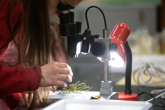 Imaxe da nova:O centro Gaiástech celebra o Día da muller e da nena na ciencia cun ciclo de faladoiros con mulleres tecnólogas