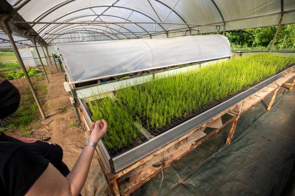 Imaxe da nova:O DOG publica as axudas ao emprego para beneficiar unhas 175 cooperativas ou sociedades laborais cun orzamento de 5 M€