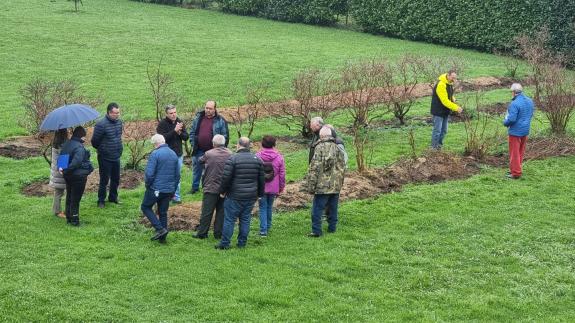 Imaxe da nova:A Xunta organiza un obradoiro sobre poda de árbores froiteiras no CFEA Pedro Murias, en colaboración co concello de Ribadeo