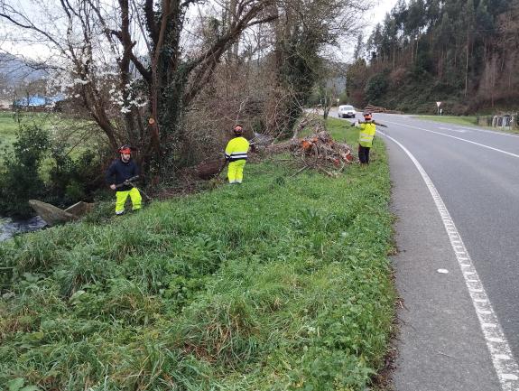 Imagen de la noticia:La Xunta finaliza actuaciones de conservación y limpieza en los tramos interurbanos del río Baus, en Lourenzá