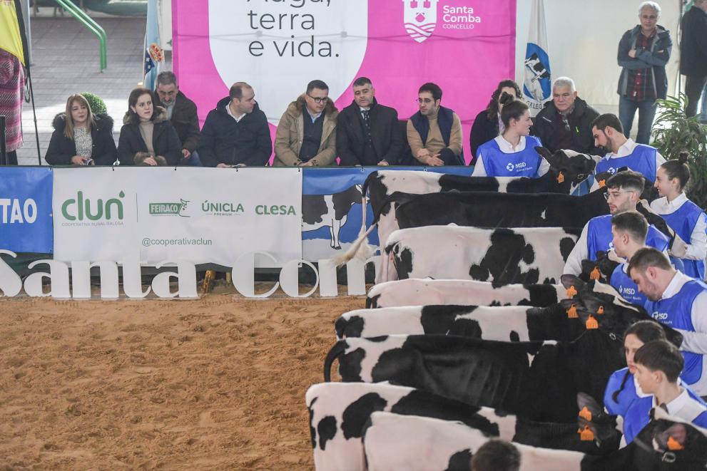Imagen 5 de 7 asociada a la noticia
