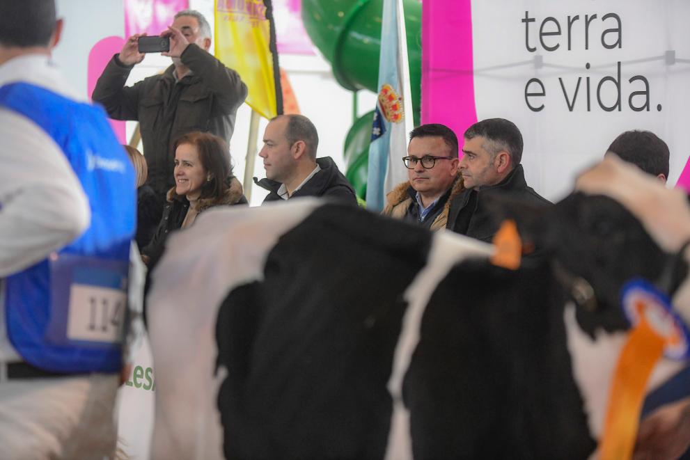 Imagen 7 de 7 asociada a la noticia