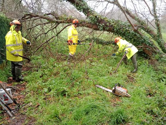 Imagen de la noticia:La Xunta ejecuta actuaciones de conservación y limpieza en los trechos interurbanos del río del Marco a su paso por el ayunt...