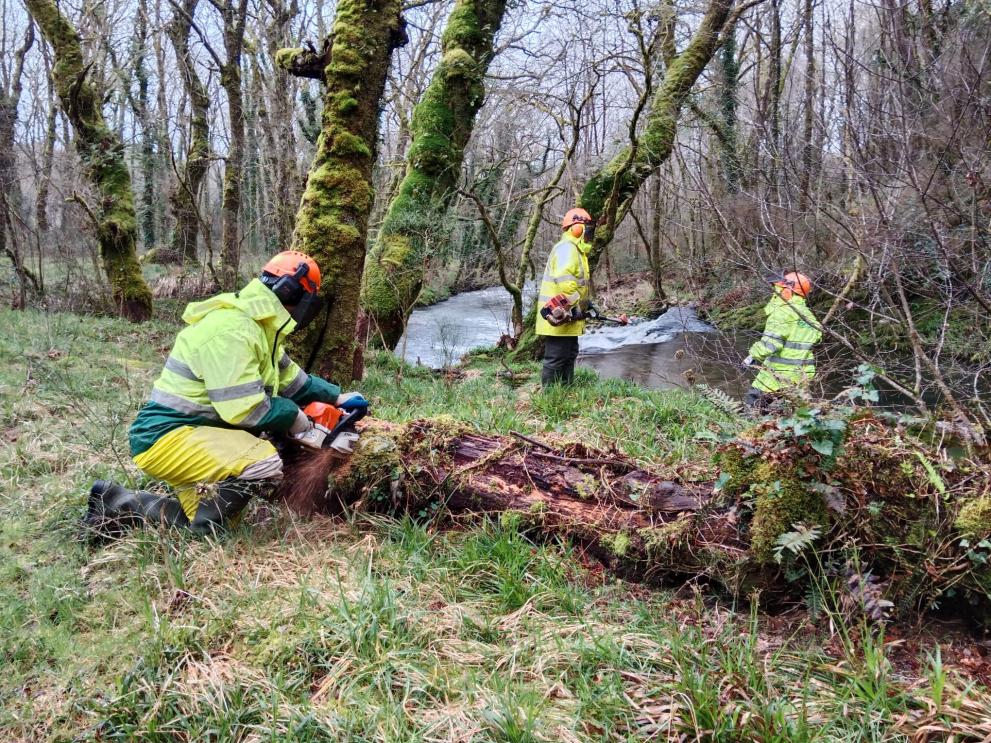 Imagen 1 de 1 asociada a la noticia