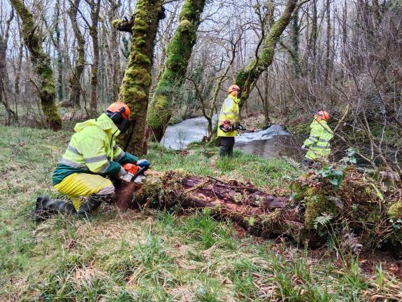 Imagen de la noticia:La Xunta ejecuta actuaciones de conservación y limpieza en los trechos interurbanos del río Lérez a su paso por el ayuntamie...